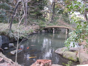 bassin jardin japonais