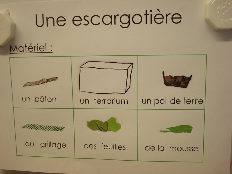escargots 2009 (1)