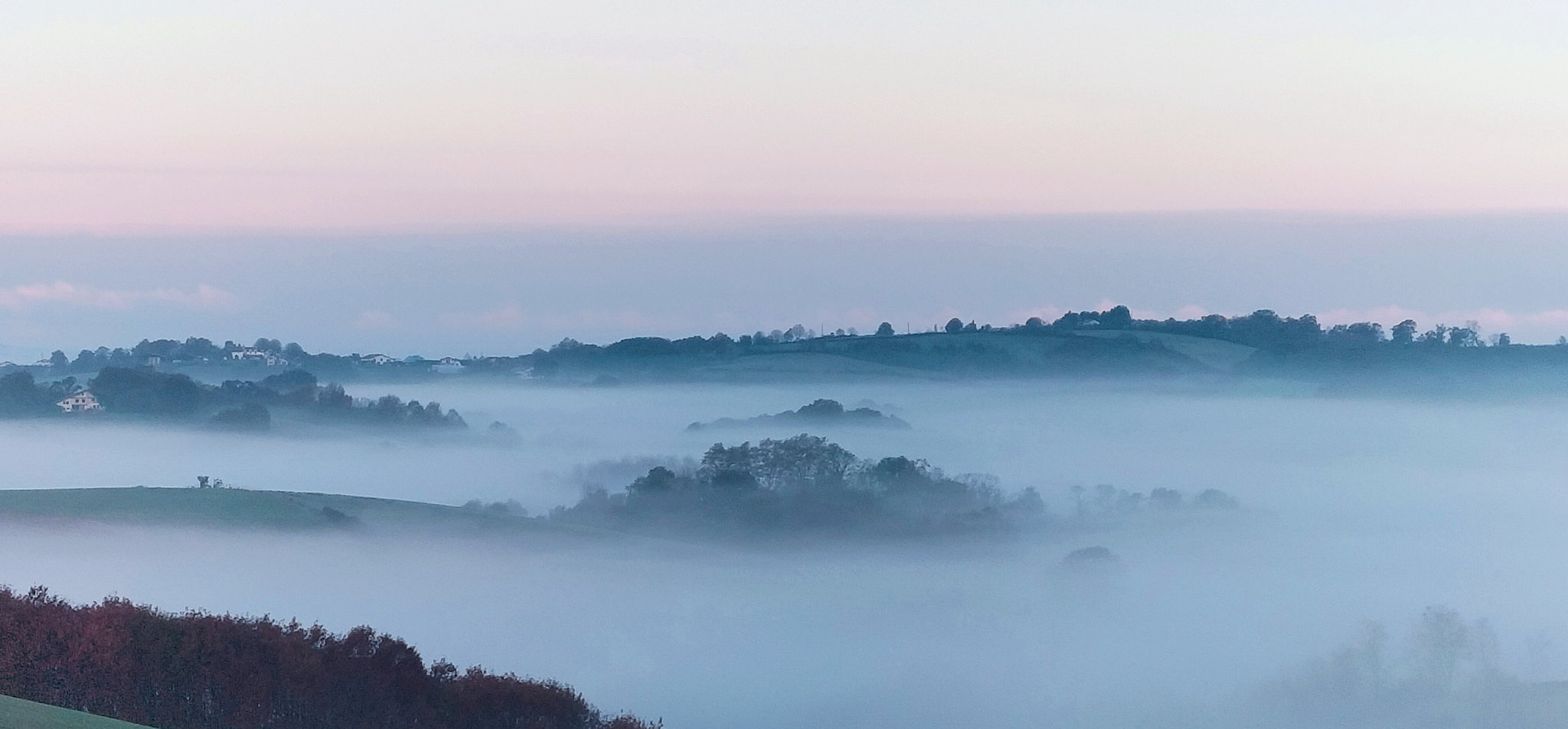 Saint-Pée-sur-Nivelle, brume de décembre  (64)
