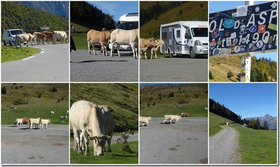 Col d'Aspin (4)