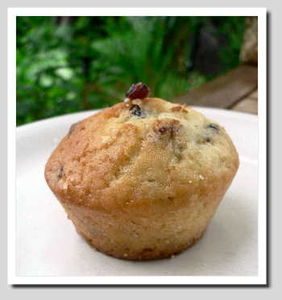 Muffins_coco_cranberries___La_Ti_Kaze