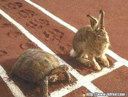 Gertrude la tortue recettes Gertrude la tortue