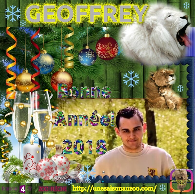 GEOFFREY 0 Nouvelle an 2018