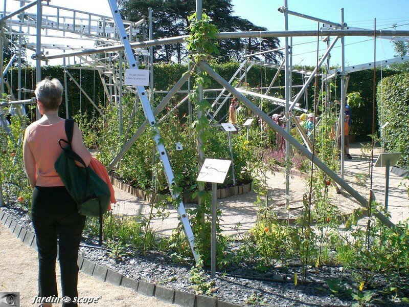 Voyage au bout de la tomate