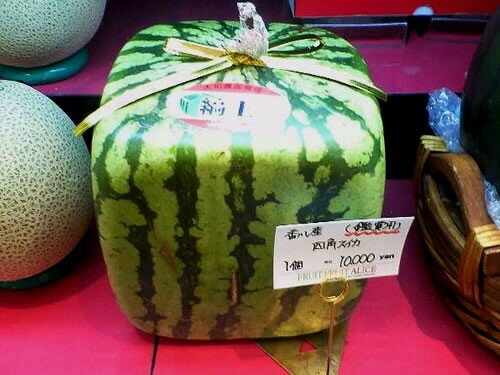 watermelon_square