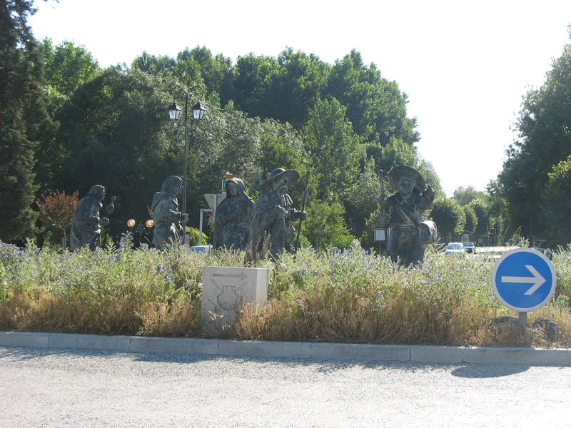 Pons (17)