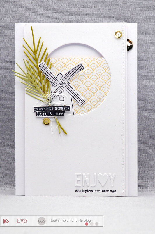 06 29_CS_carte (1)