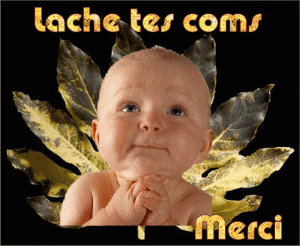 LACHE_TES_COMS_MERCI_b_b_