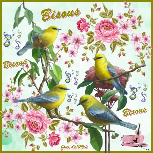 Bisous oiseaux 09032023