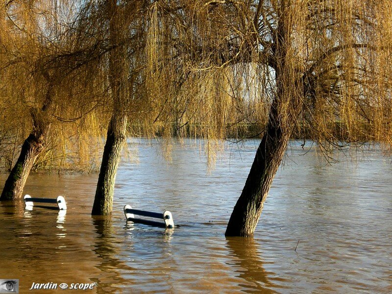 A Noyen-sur-Sarthe la rivière sort de son lit…