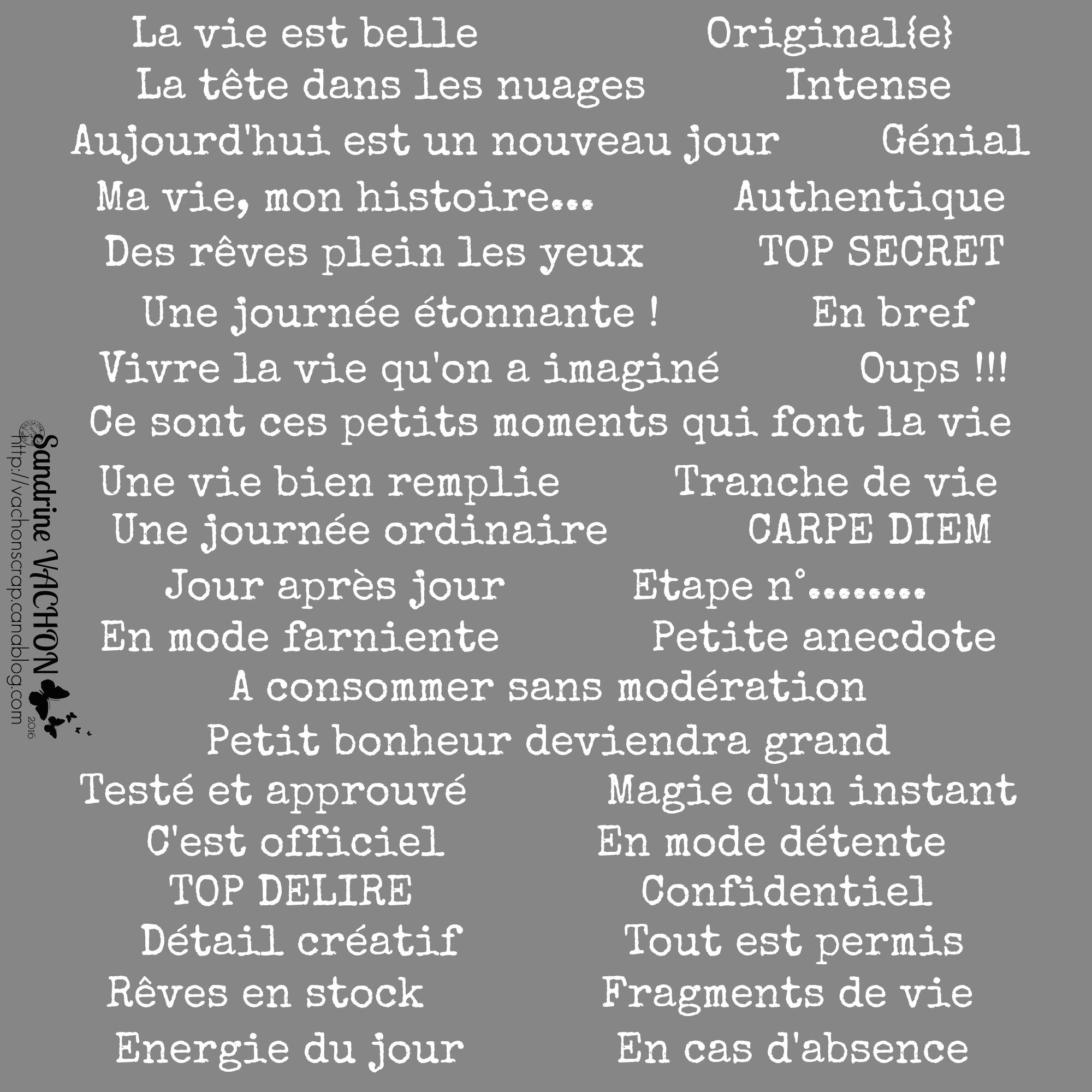 Sandrine VACHON planche 30