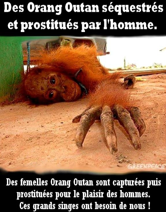 Prostituée de 16 ans