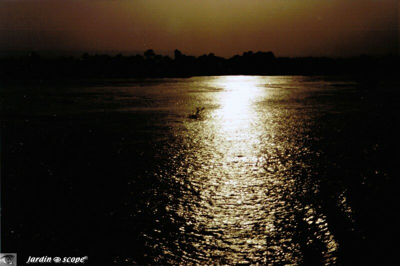 Paysage des bords du Nil