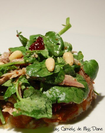 Rosti_canard