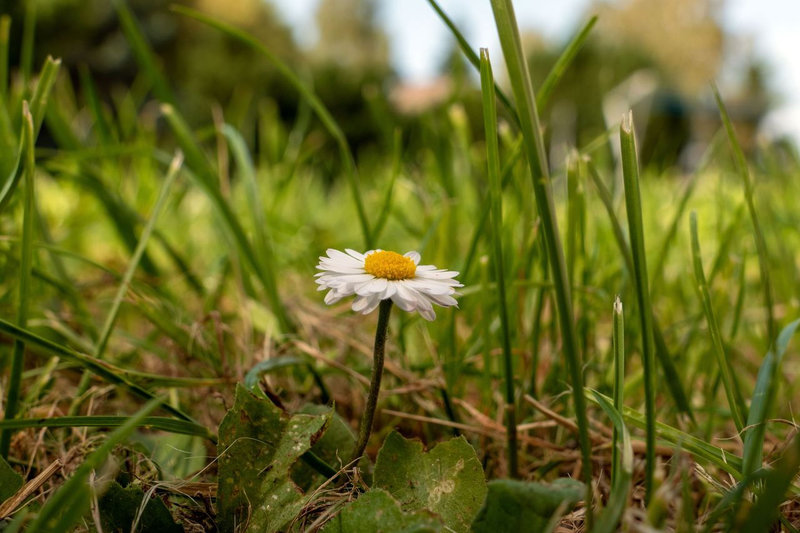 lumix-fz-1000-testbild-01