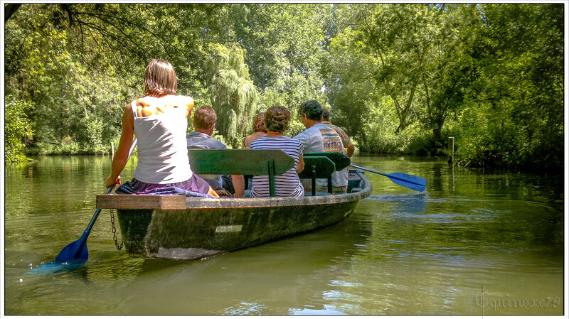 Marais Poitevin - Breton la N’Yole dés - barques (4)