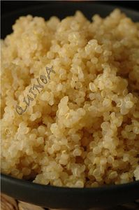 Quinoa