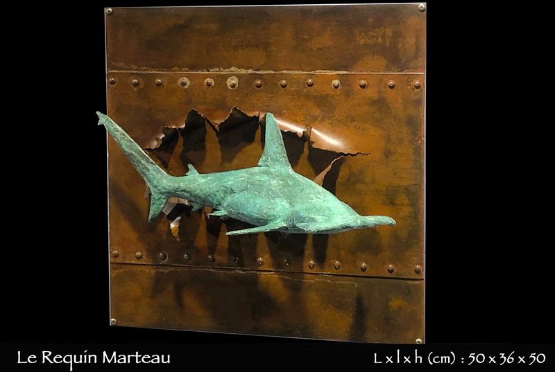 requin-marteau-plongée-bronze-marin