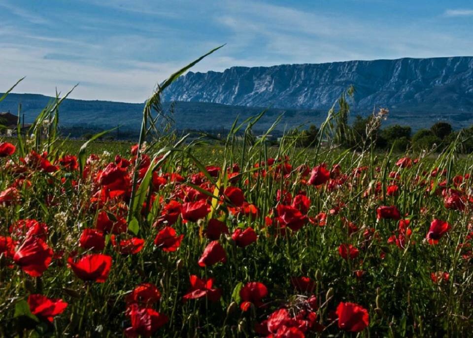 Montagne Sainte-Victoire