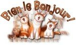 BIEN_LE_BONJOUR