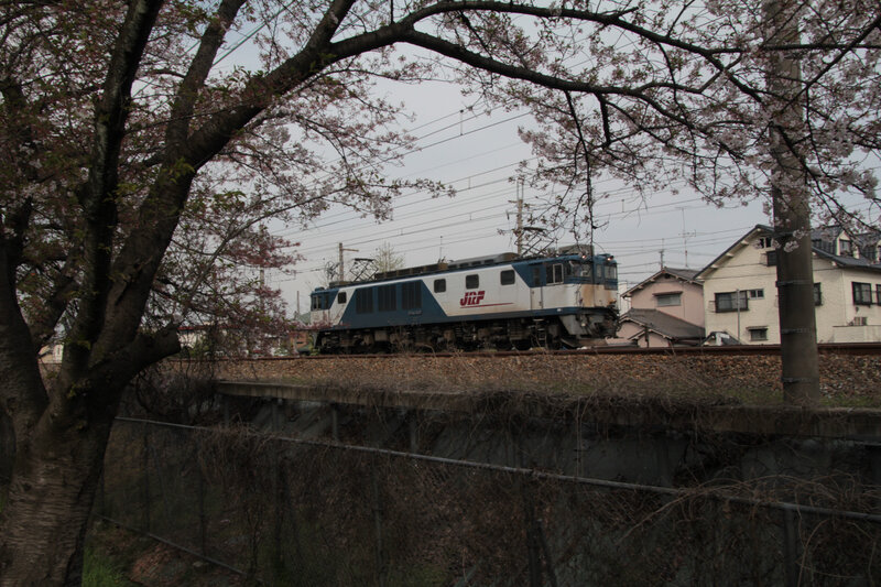 Japon 2016 986