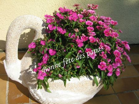 Arbres fleurs jardin cygne