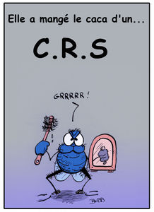 CRS