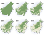 deforestation_facts_borneo