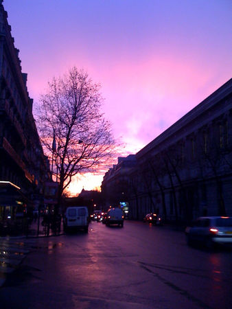 Paris_le13_janvier_2009