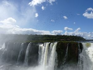 Iguazu_080