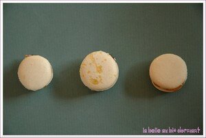 Macarons_6
