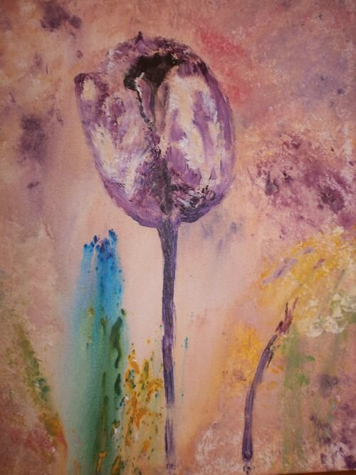tulipe 