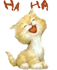 rire chat