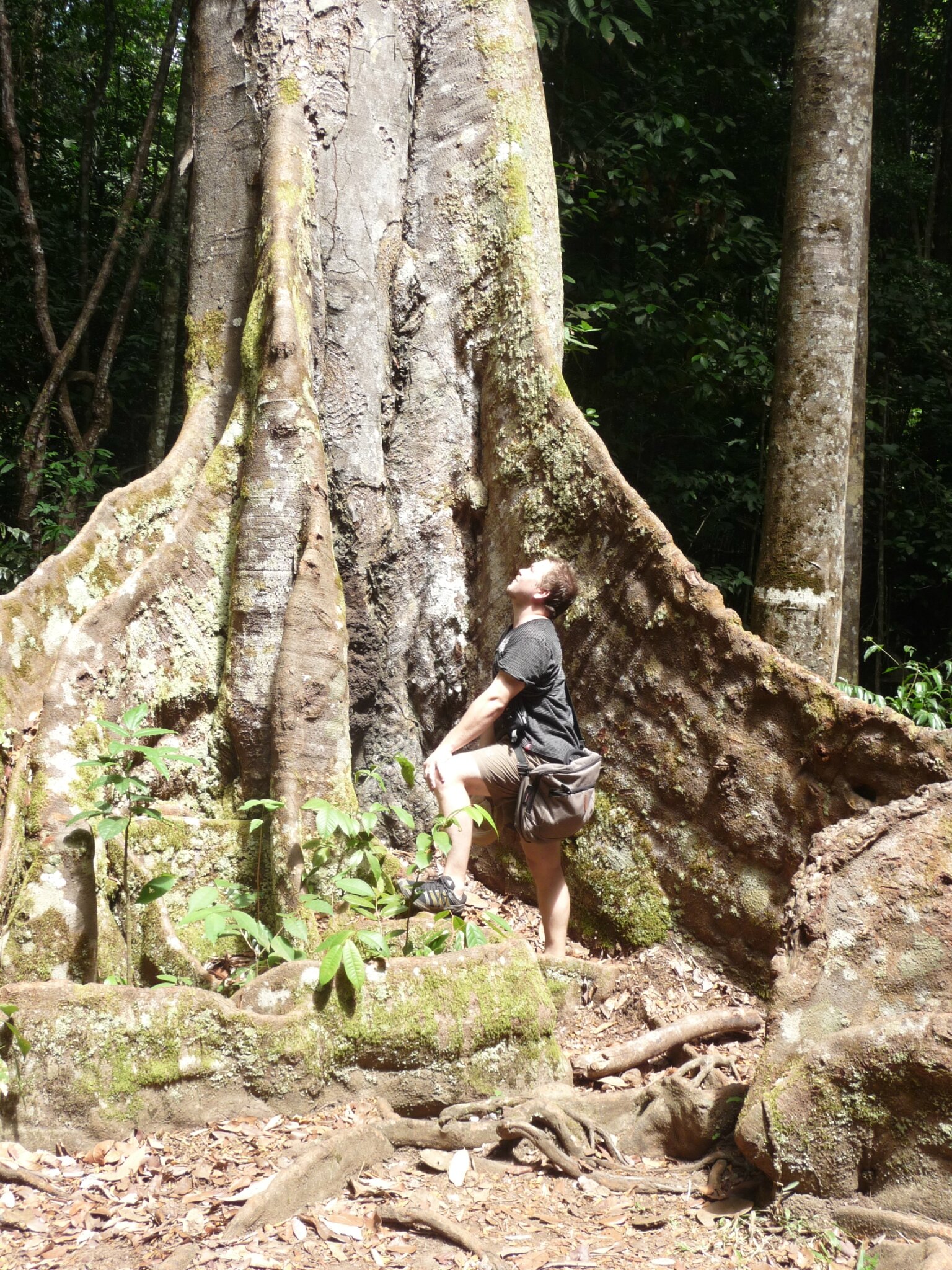 Kourou - Montagne des singes