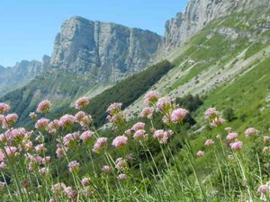 Randonnee Vercors - Pas Morta (52)