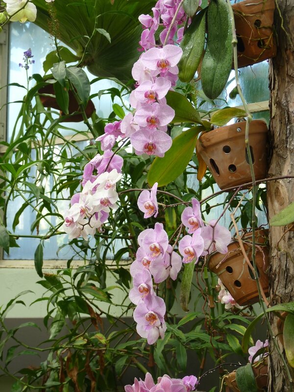 P1060069