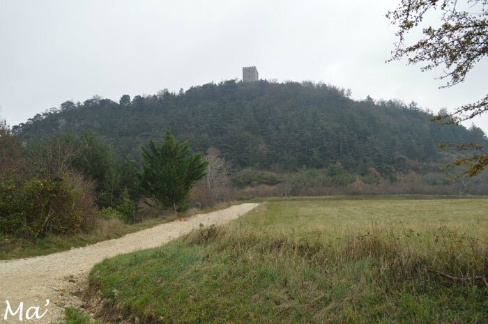 141129_Barcelonne6