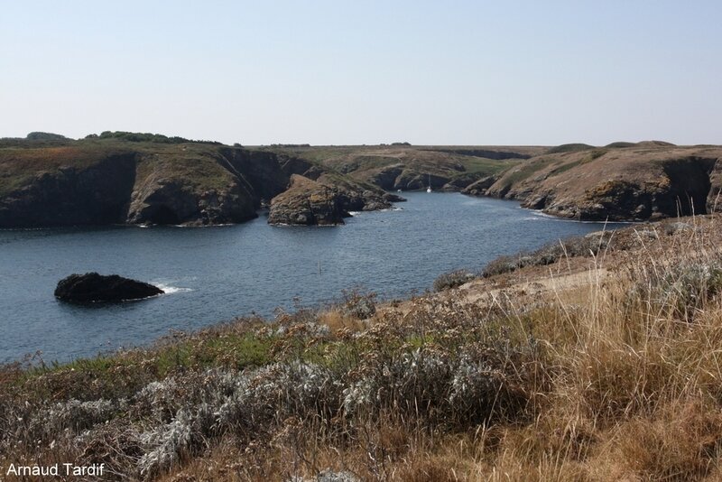 00547 Larmor-Baden - Belle-Ile en Mer - Le côté Gauche de la Pointe des Poulains - Ster-Vraz - Lieu de notre pique-nique du midi