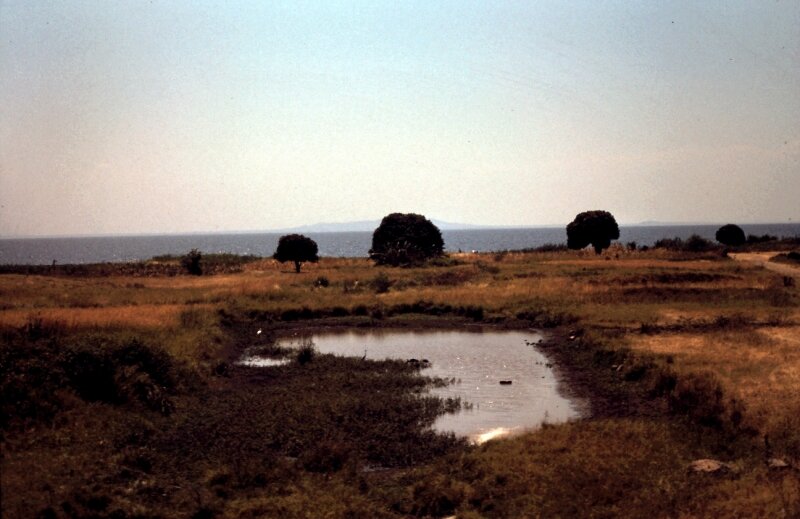 tanzanie 20