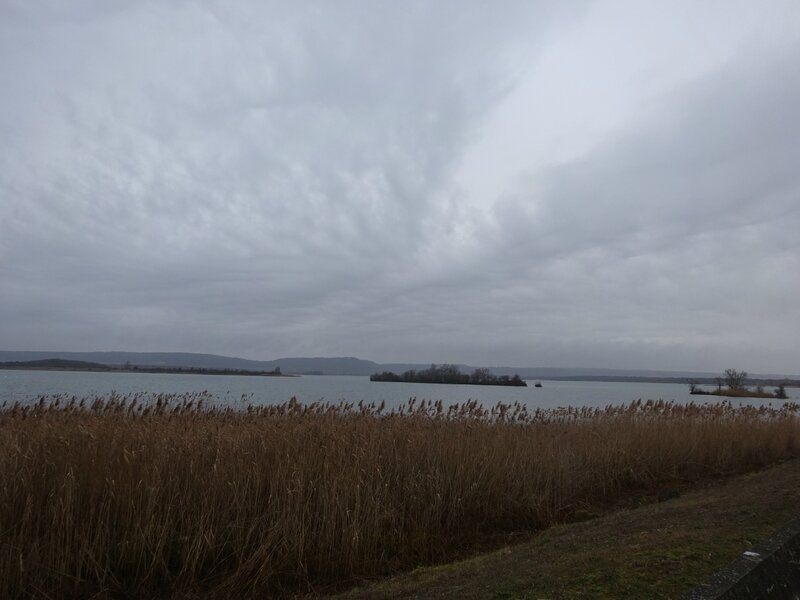 vue sur le lac