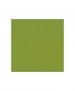 papier-uni-scrapbooking-carterie-vaessen-fern