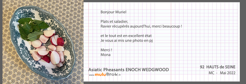 22-5-Vaisselle-Asiatic-Pheasant-muluBrok-Messages