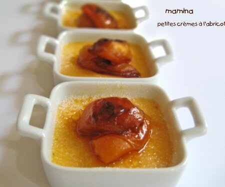 CREMES_ABRICOTS_20