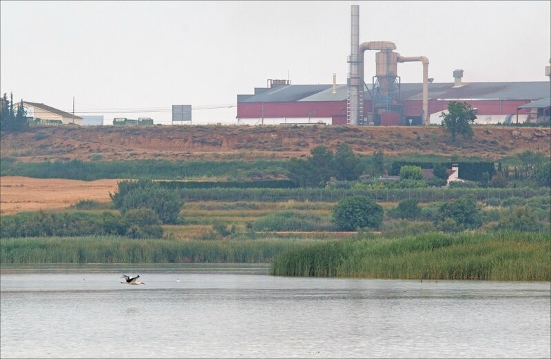 Haut Aragon juin 2017 J3 lagune Saranina 27 lagune usine cigogne