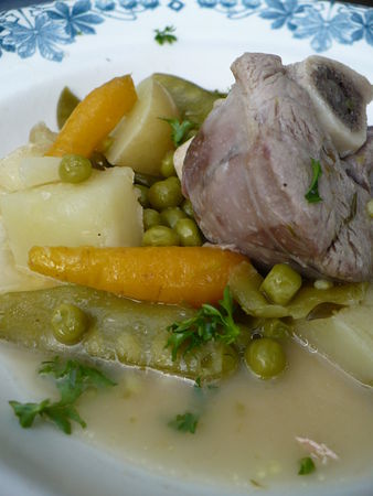 navarin_l_gumes_printemps013