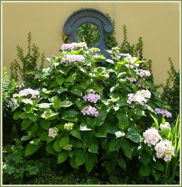 P1020447az