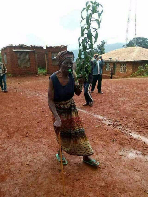 Une femme âgée brandit l'arbre de la paix