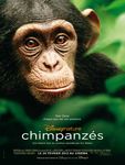 Chimpanzés Disneynature