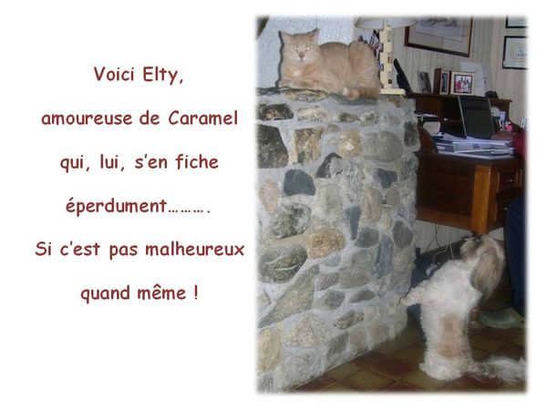 Elty amoureuse