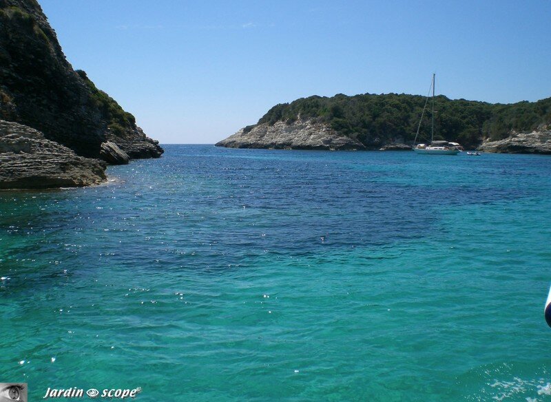 Bonifacio - Calanque de Frazzio